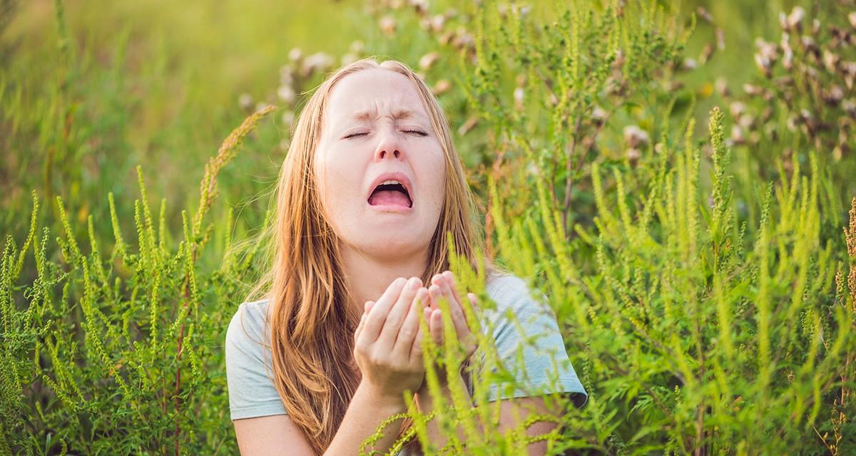 Hayfever – what you need to know - Blog - Nene Valley Osteo