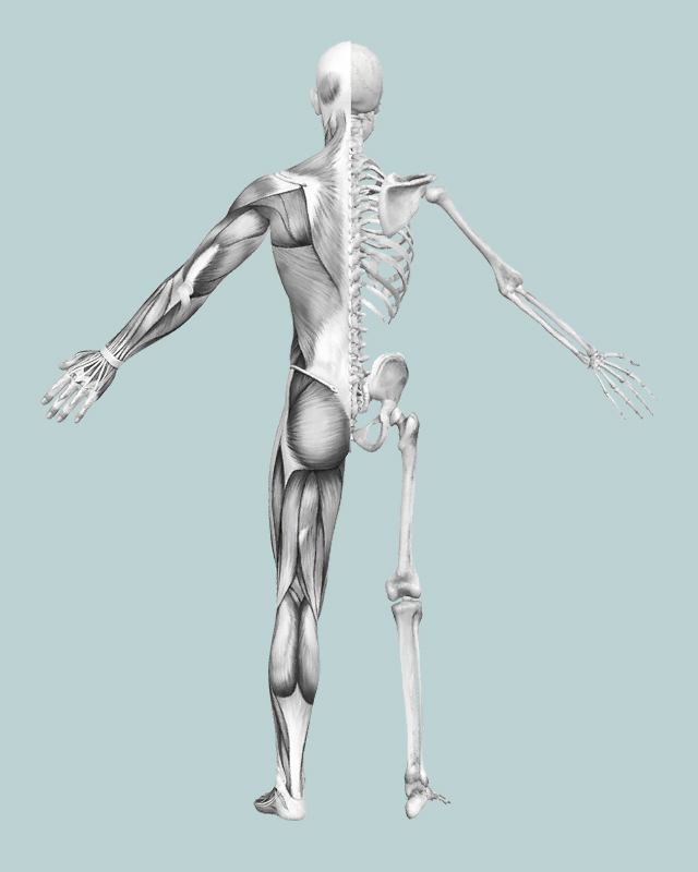 WHERE DO YOU HURT - BACK